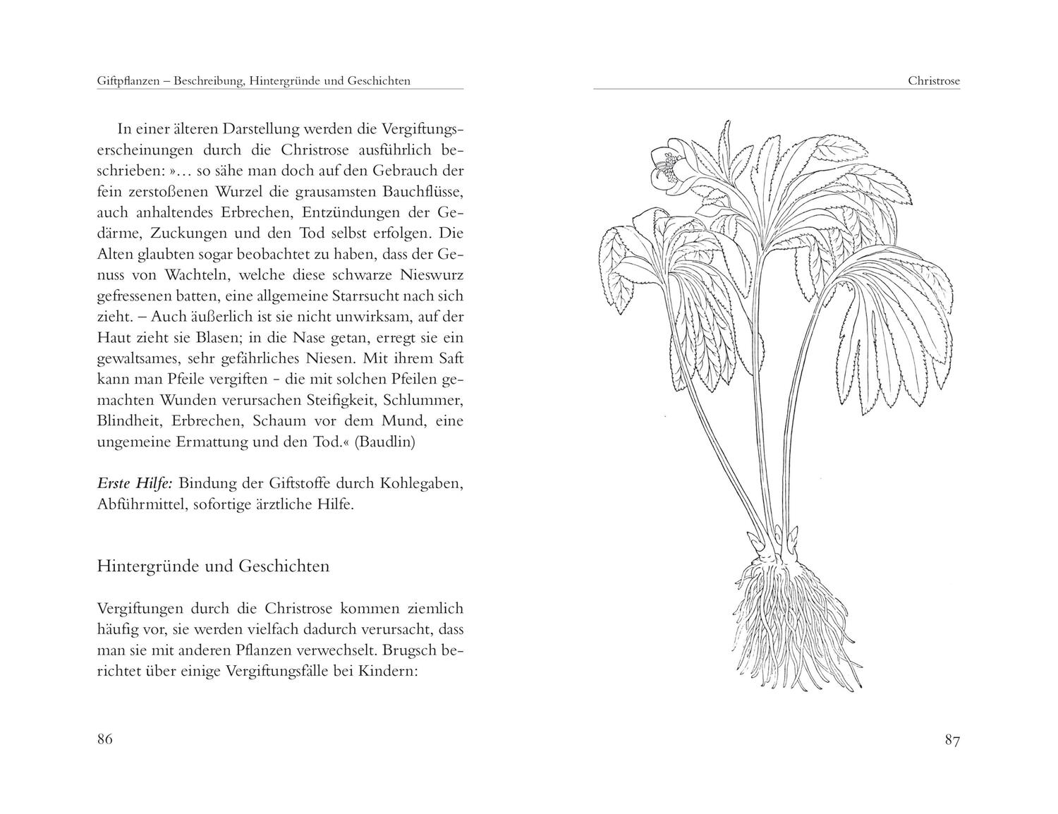 Bild: 9783730613702 | Heimische Giftpflanzen. Beschreibung, Wirkung und Geschichten | Buch
