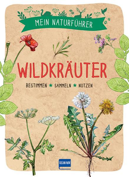 Cover: 9783741524769 | Mein Naturführer - Wildkräuter | Bestimmen · sammeln · nutzen | Buch