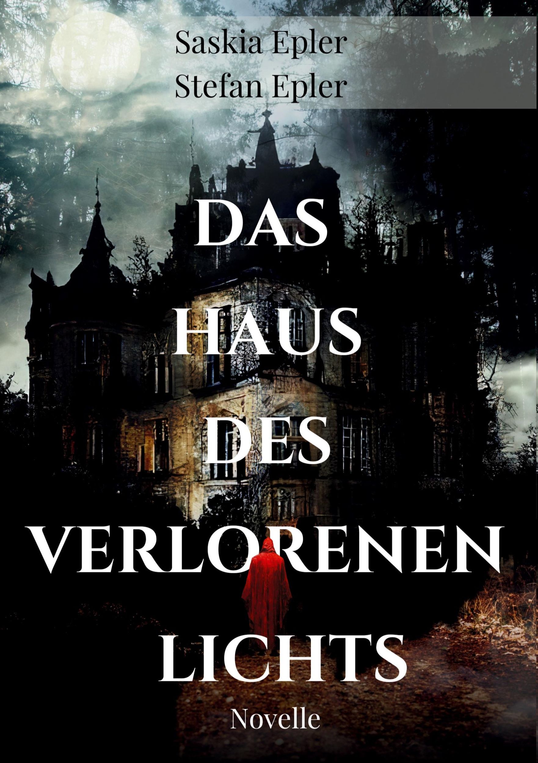 Cover: 9783911073004 | Das Haus des verlorenen Lichts | Stefan Epler (u. a.) | Taschenbuch