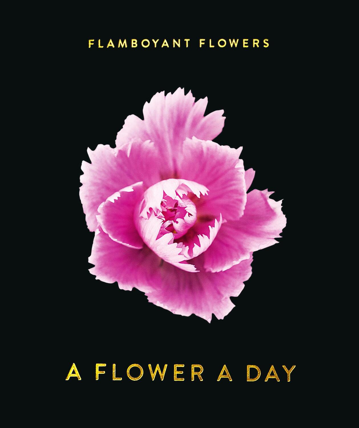 Cover: 9783946688839 | Flamboyant Flowers | A Flower A Day | Kalender | 370 S. | Englisch