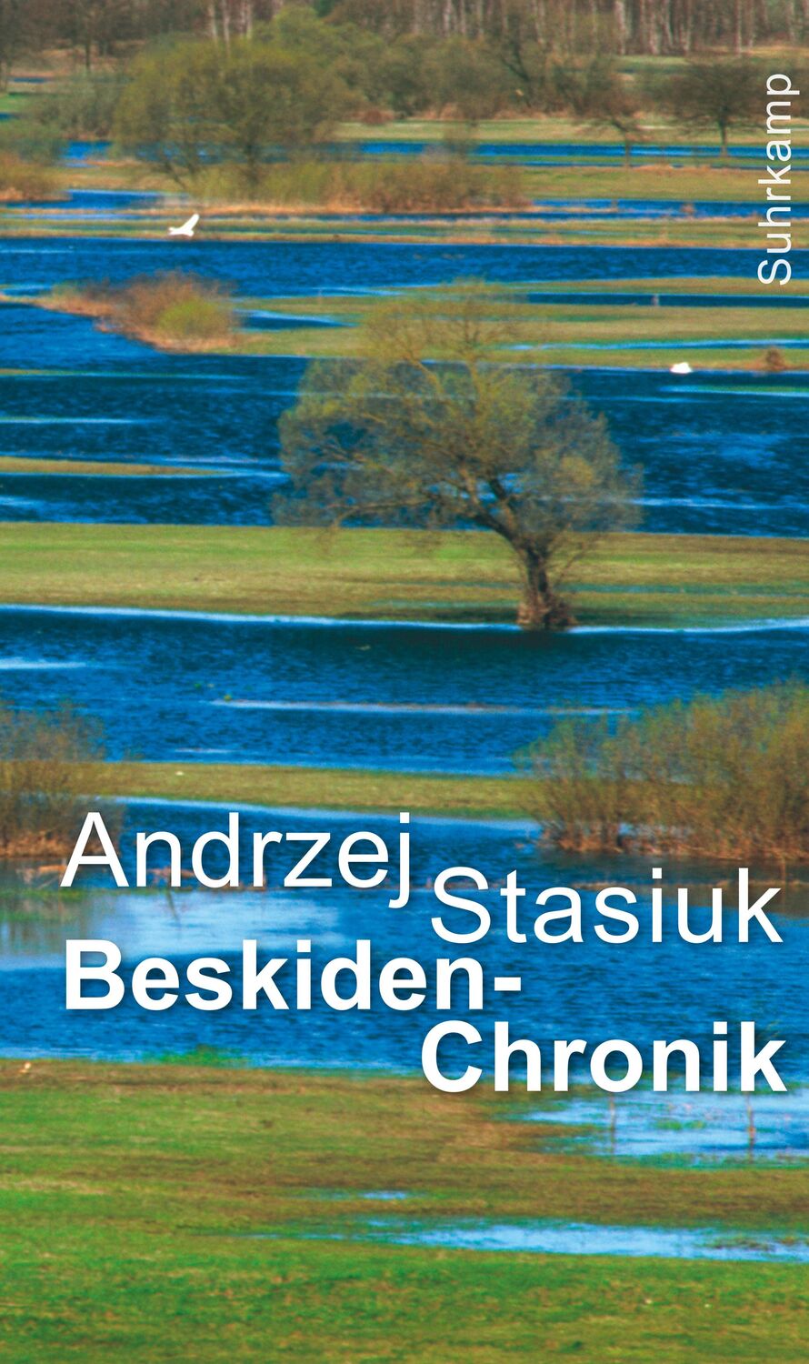 Cover: 9783518429297 | Beskiden-Chronik | Nachrichten aus Polen und der Welt | Stasiuk | Buch