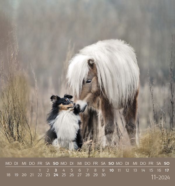 Bild: 9783731869559 | Tierfreundschaften 2024 | aufstellbarer Postkartenkalender | Verlag
