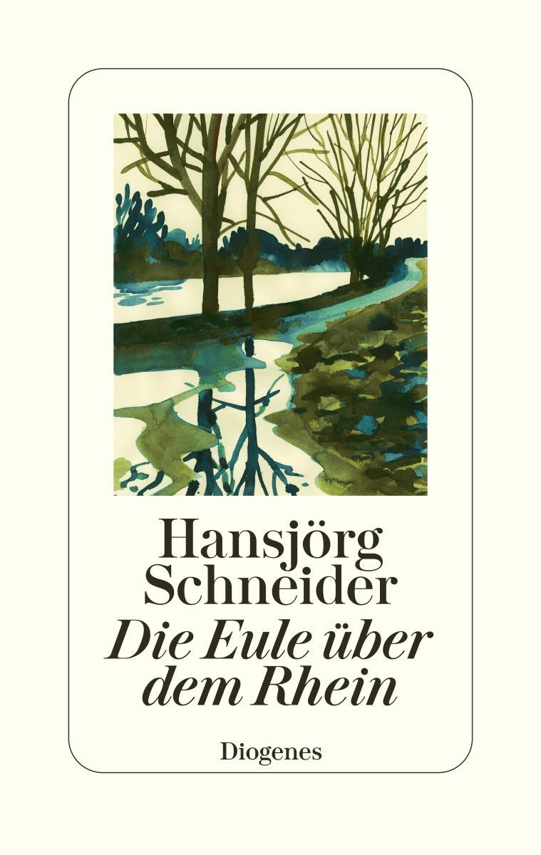 Cover: 9783257071627 | Die Eule über dem Rhein | Prosa | Hansjörg Schneider | Buch | Deutsch