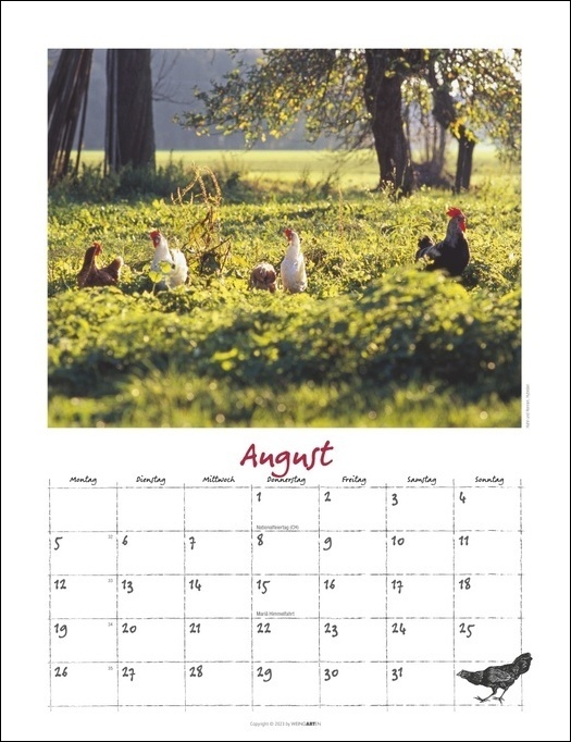 Bild: 9783840085598 | Der Hühner-Kalender 2024. Wandkalender 2024 mit Hühnerfotos des...