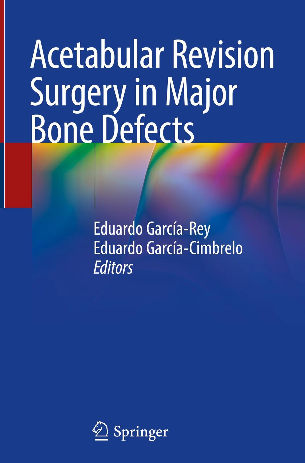Cover: 9783319985954 | Acetabular Revision Surgery in Major Bone Defects | Buch | VIII | 2018
