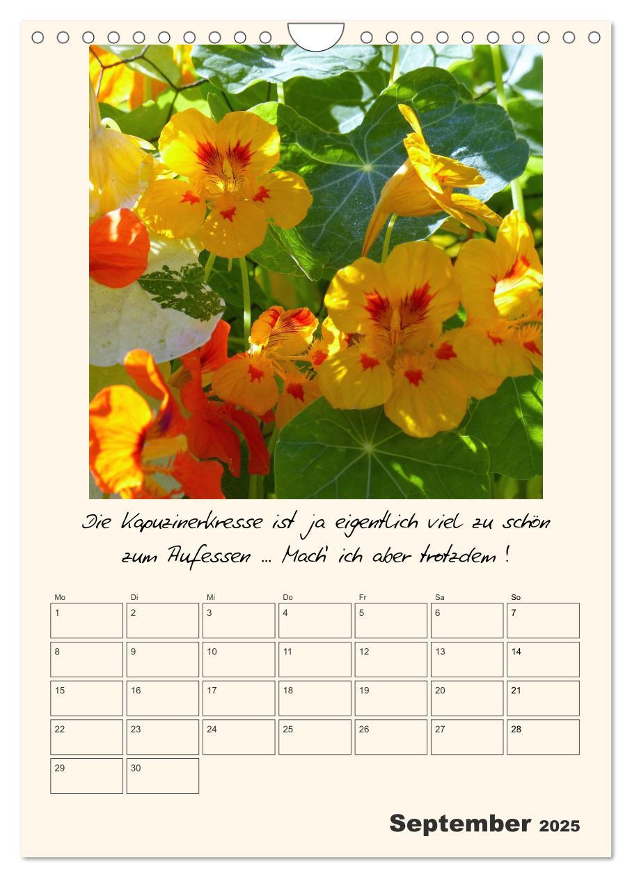 Bild: 9783435999583 | Gartengeschichten (Wandkalender 2025 DIN A4 hoch), CALVENDO...