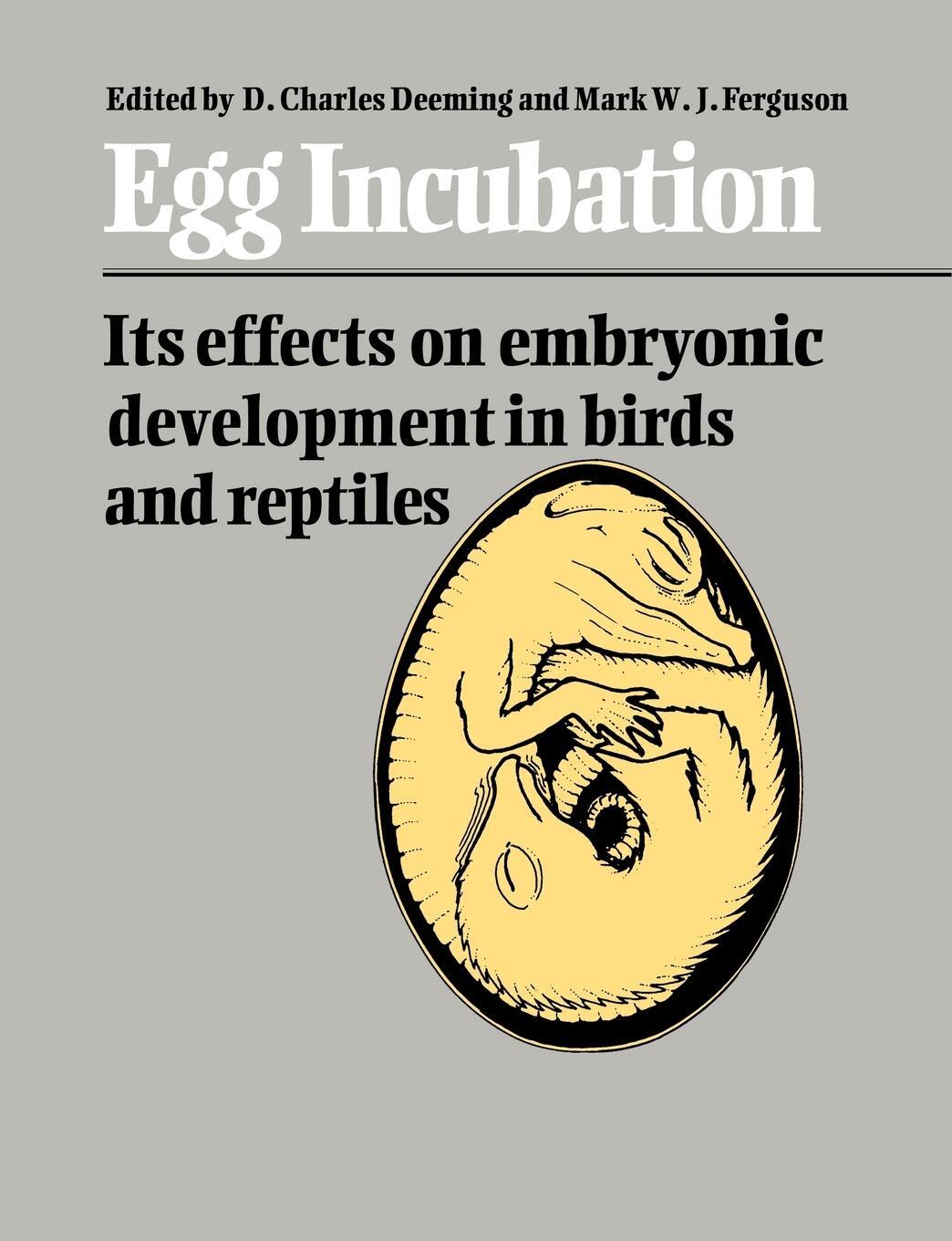 Cover: 9780521612036 | Egg Incubation | Mark W. J. Ferguson | Taschenbuch | Paperback | 2004