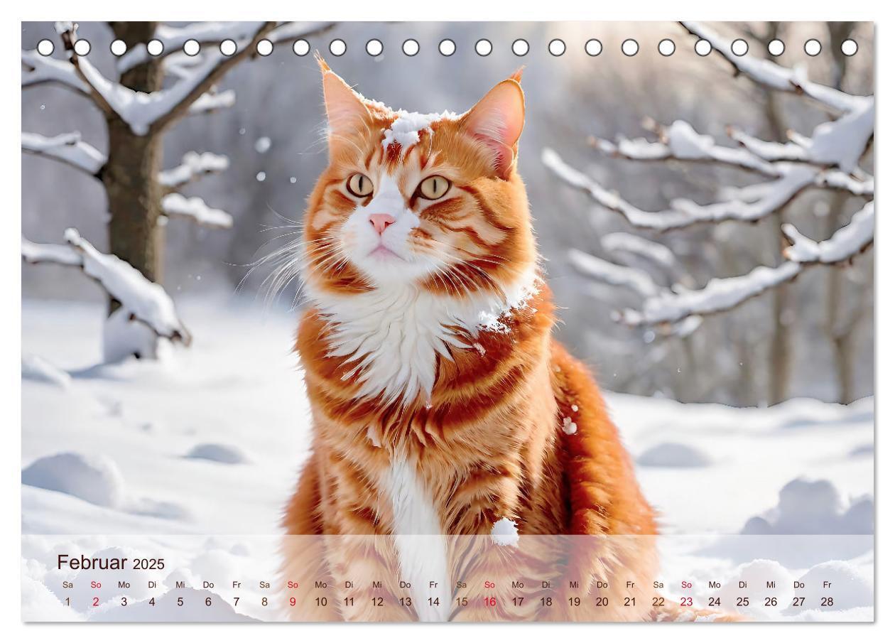 Bild: 9783383817885 | Rote Katzen (Tischkalender 2025 DIN A5 quer), CALVENDO Monatskalender