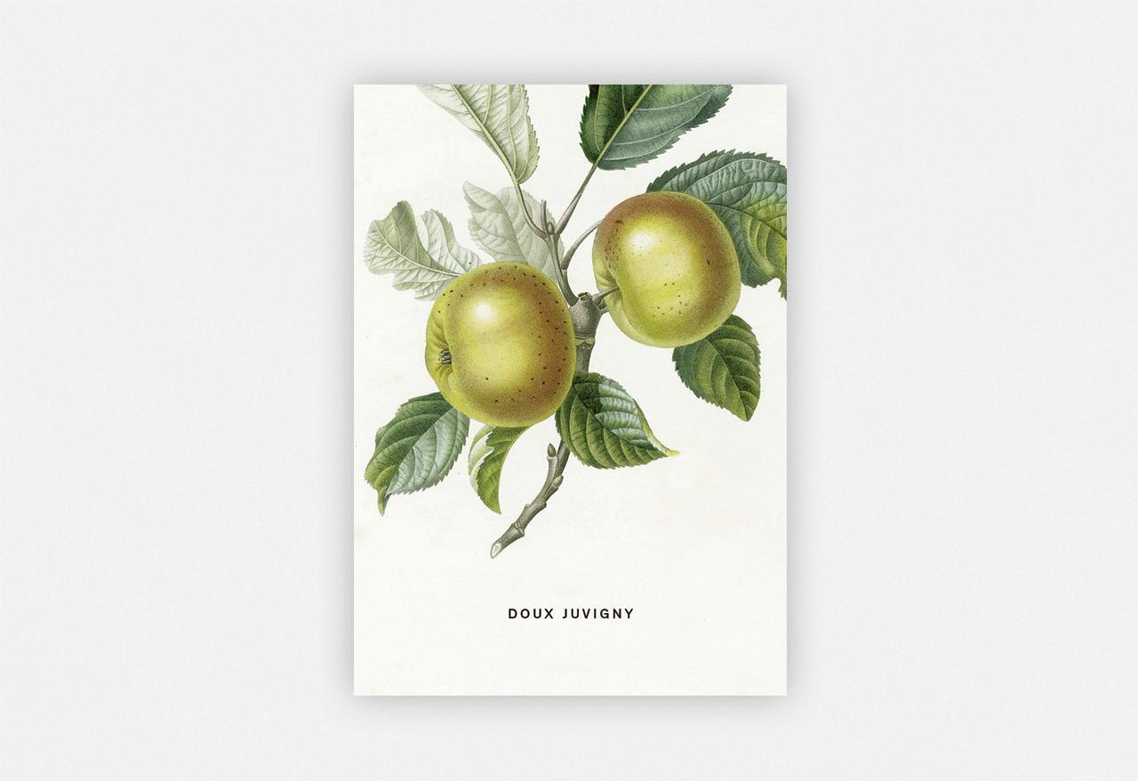 Bild: 4260172810821 | An Apple a Day 2020 - Postkartenset | 4 Stück | Taschenbuch | Deutsch