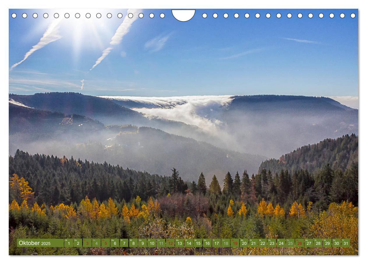 Bild: 9783435377213 | Die Jahreszeiten im Nordschwarzwald (Wandkalender 2025 DIN A4...