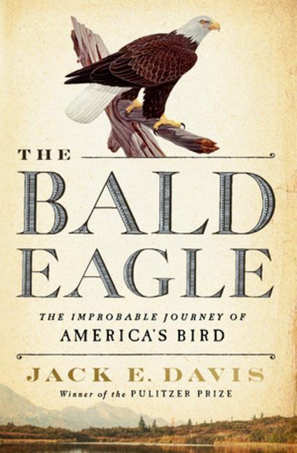 Cover: 9781631495250 | The Bald Eagle: The Improbable Journey of America's Bird | Davis