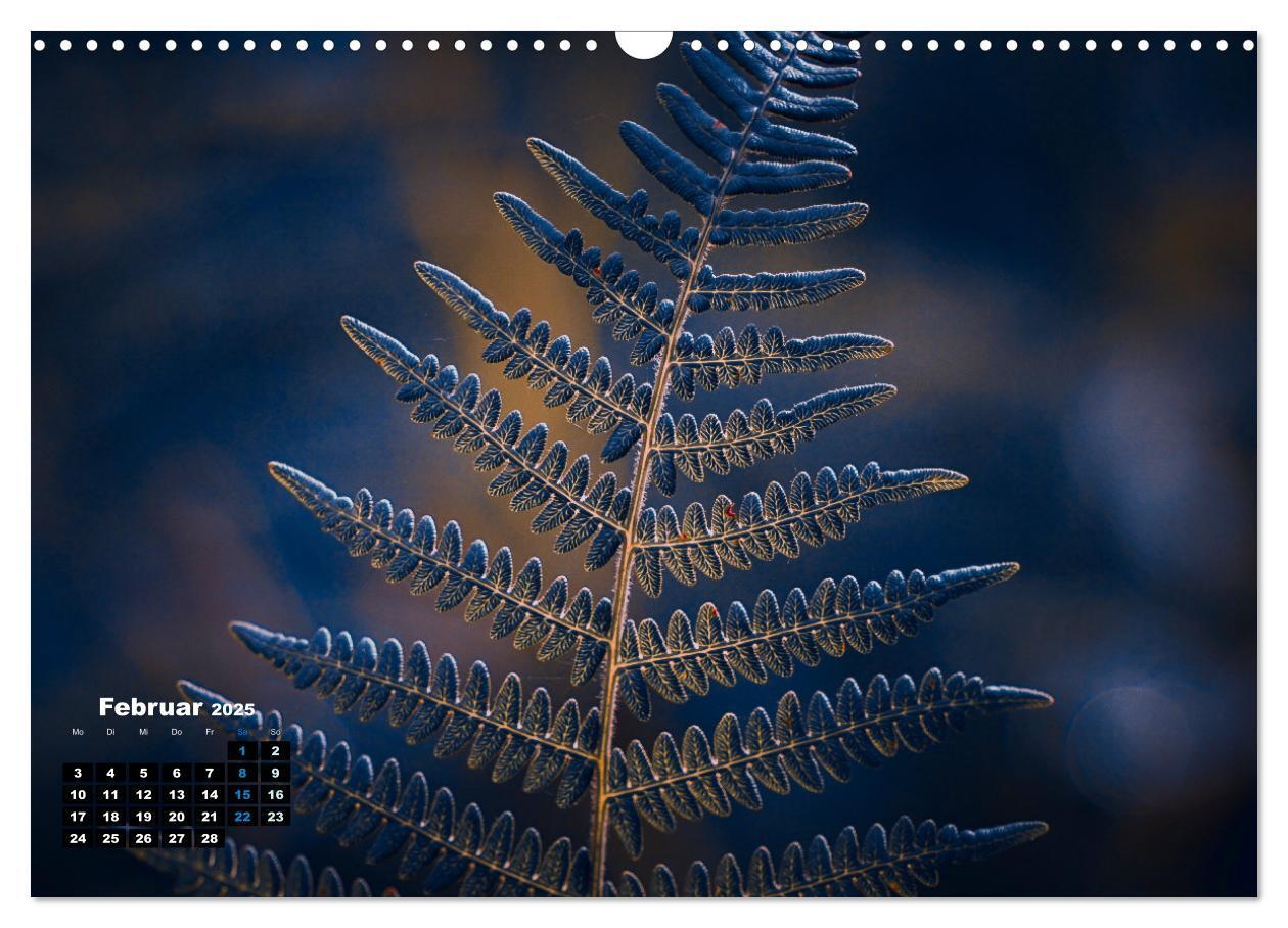 Bild: 9783383761706 | Abstrakte Natur (Wandkalender 2025 DIN A3 quer), CALVENDO...