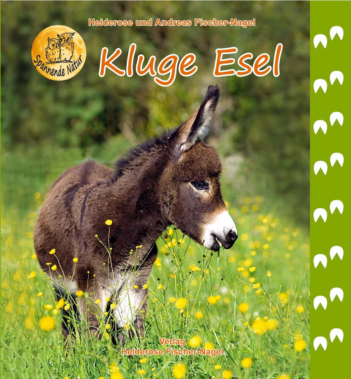 Cover: 9783930038923 | Kluge Esel | Heiderose Fischer-Nagel (u. a.) | Buch | Deutsch | 2020