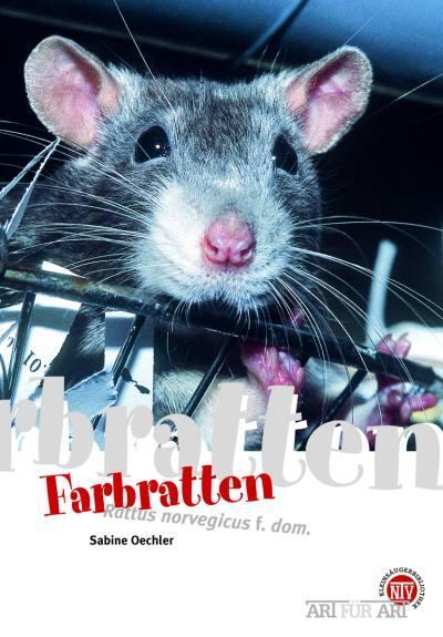 Cover: 9783866590441 | Farbratten | Art für Art | Sabine Oechler | Taschenbuch | Art für Art