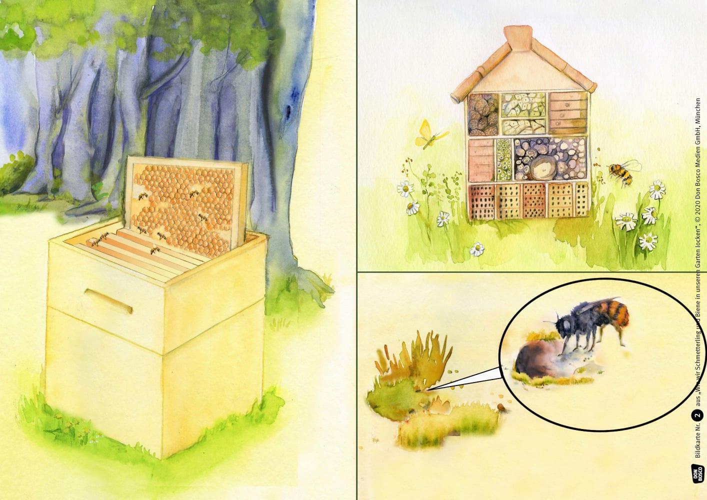 Bild: 4260179516498 | Wie wir Schmetterling und Biene in unseren Garten locken....