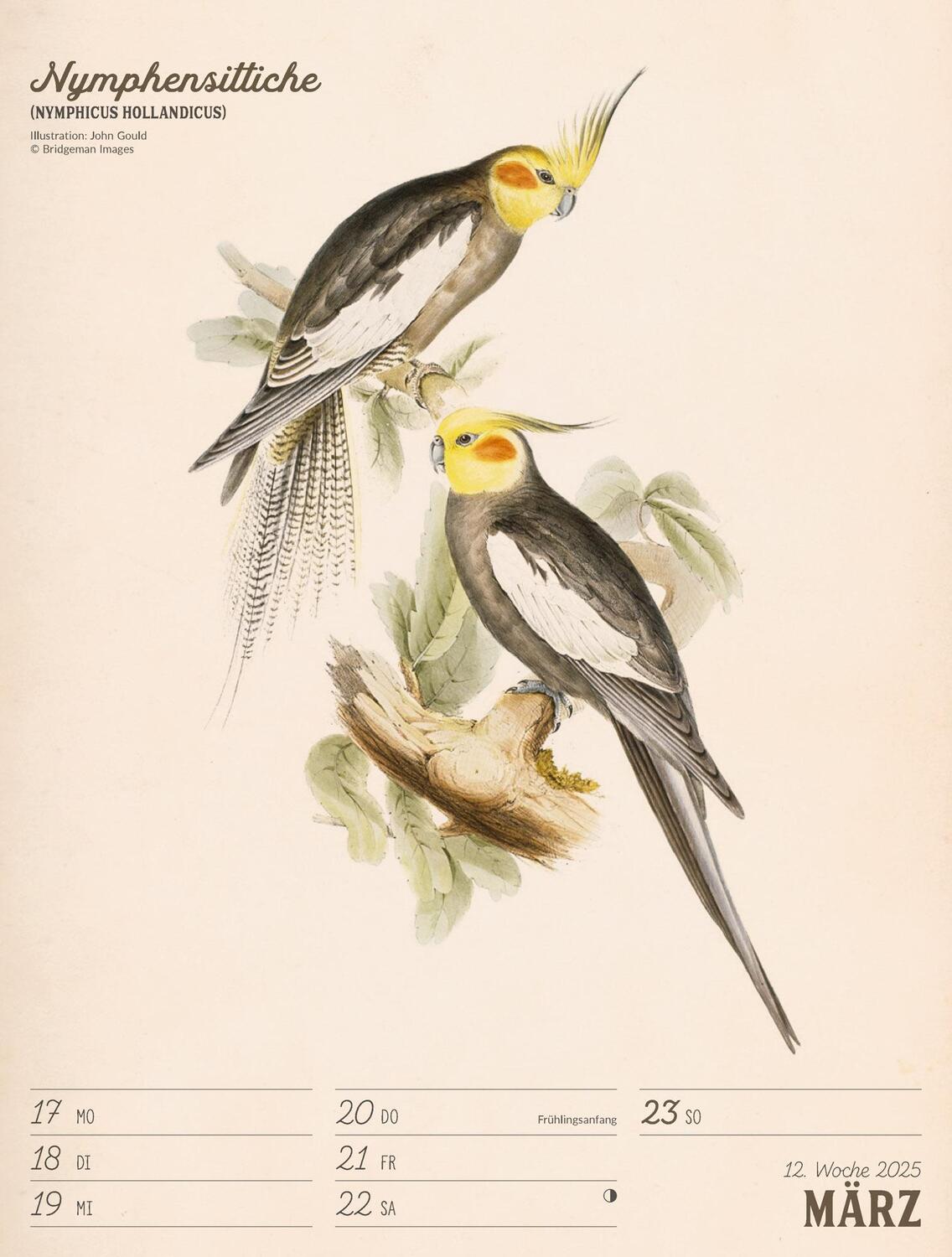 Bild: 9783838435114 | Wunderbare Vogelwelt - Vintage Wochenplaner Kalender 2025 | Kalender