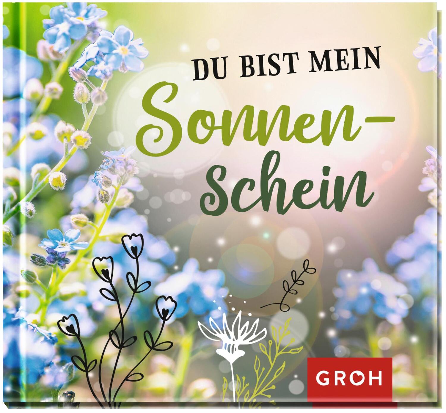 Cover: 9783848524419 | Du bist mein Sonnenschein | Groh Verlag | Buch | Hardcover | Deutsch
