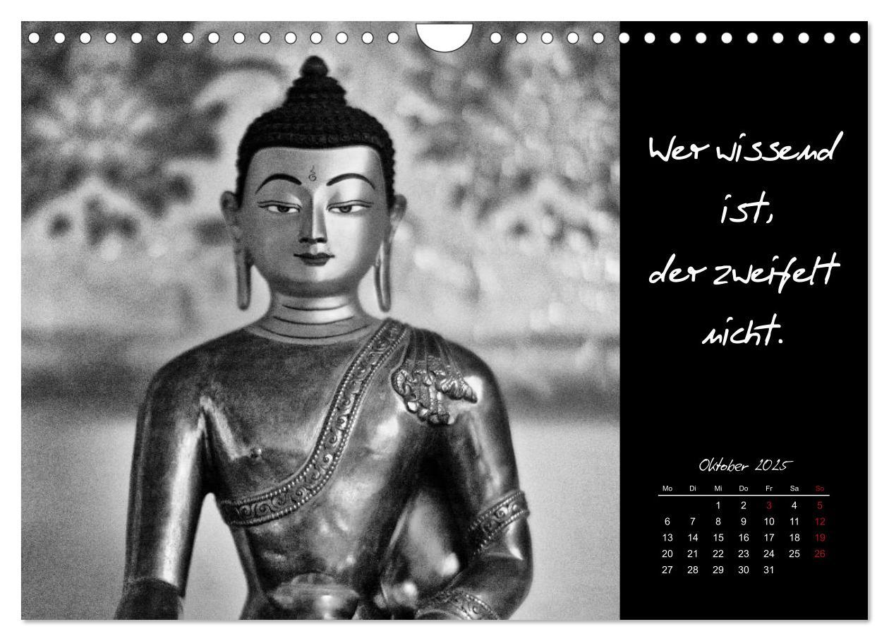 Bild: 9783435629305 | Worte des Buddha 2025 (Wandkalender 2025 DIN A4 quer), CALVENDO...