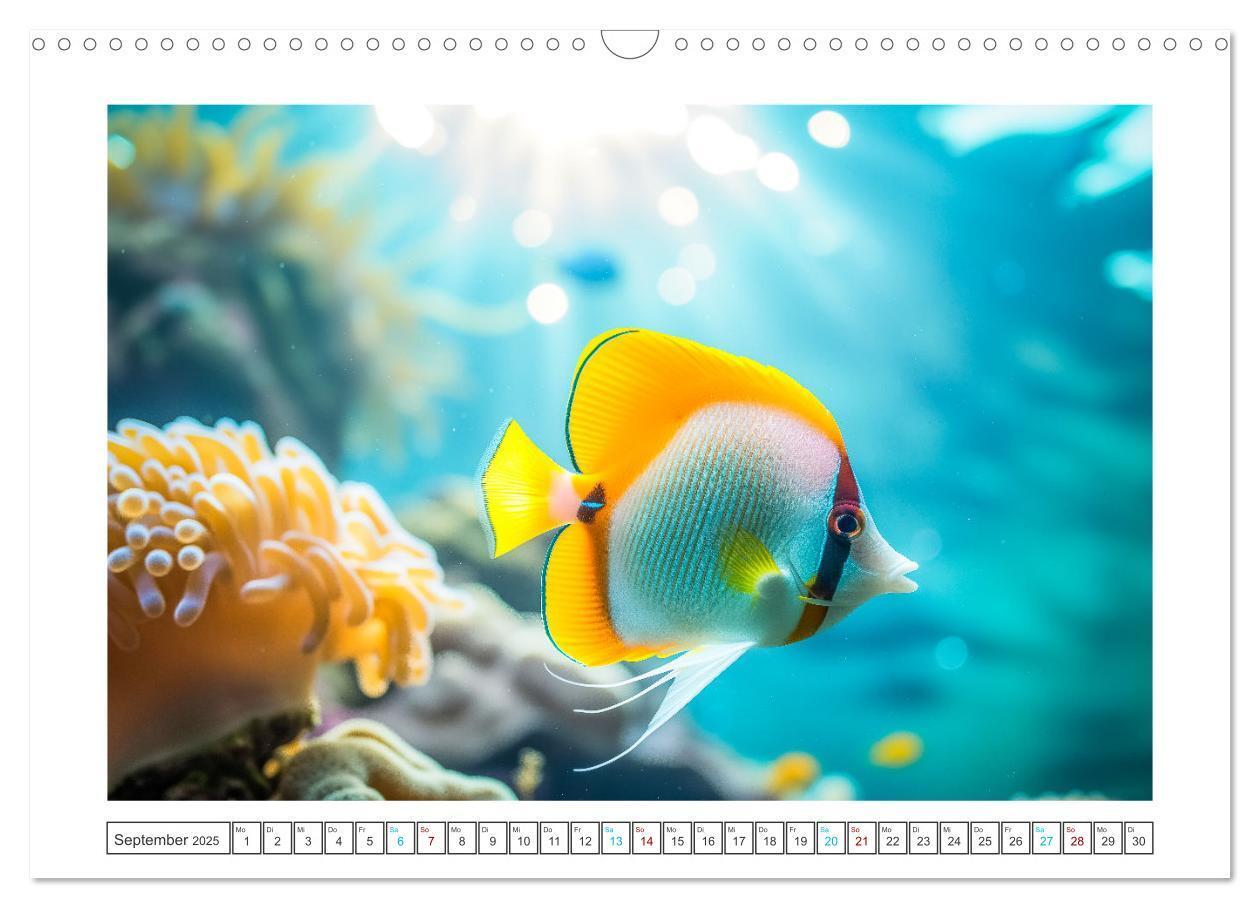 Bild: 9783383784378 | Exotische Fische (Wandkalender 2025 DIN A3 quer), CALVENDO...