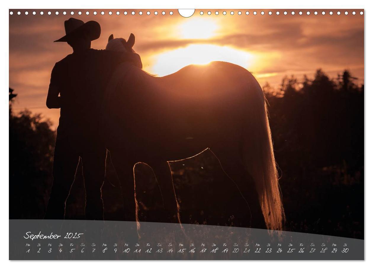 Bild: 9783435505173 | Haflinger-Pferde in Reinzucht (Wandkalender 2025 DIN A3 quer),...