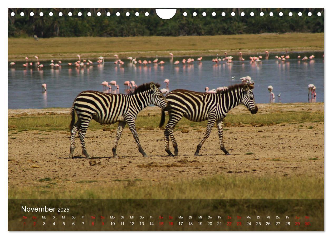 Bild: 9783435093823 | Ostafrika - Tansania und Kenia hautnah (Wandkalender 2025 DIN A4...