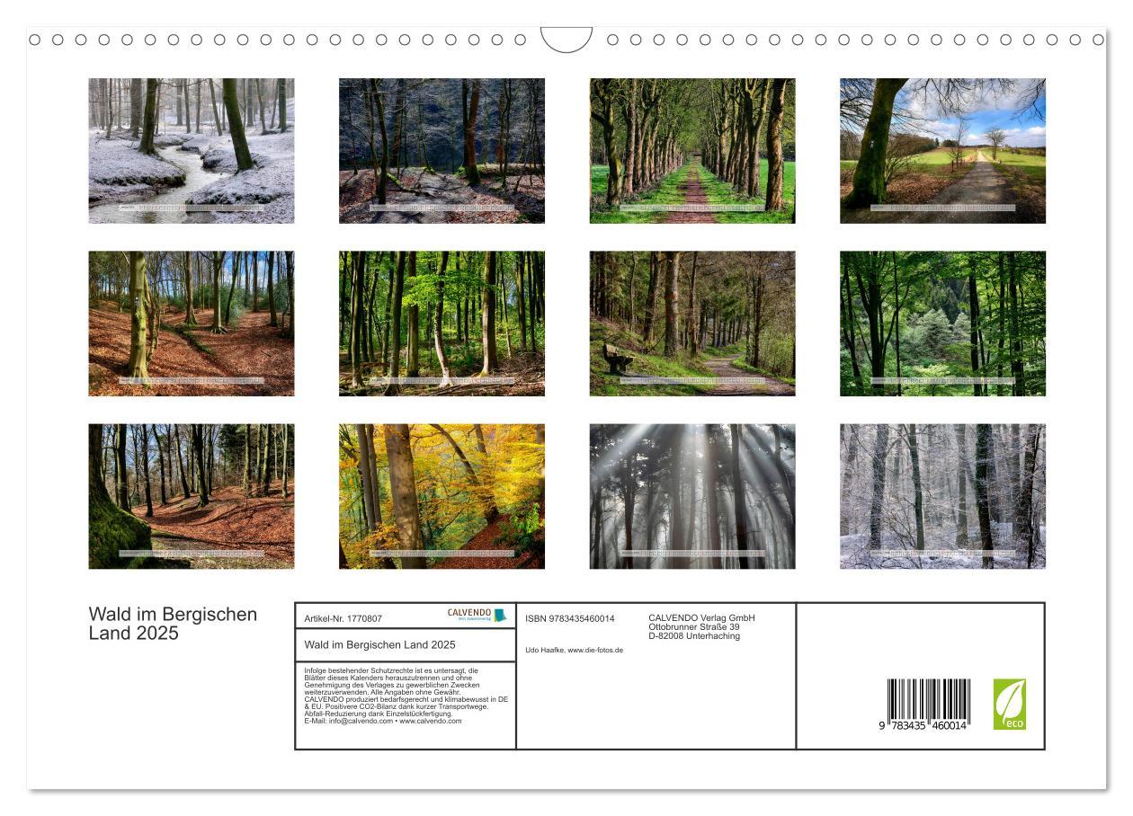 Bild: 9783435460014 | Wald im Bergischen Land 2025 (Wandkalender 2025 DIN A3 quer),...