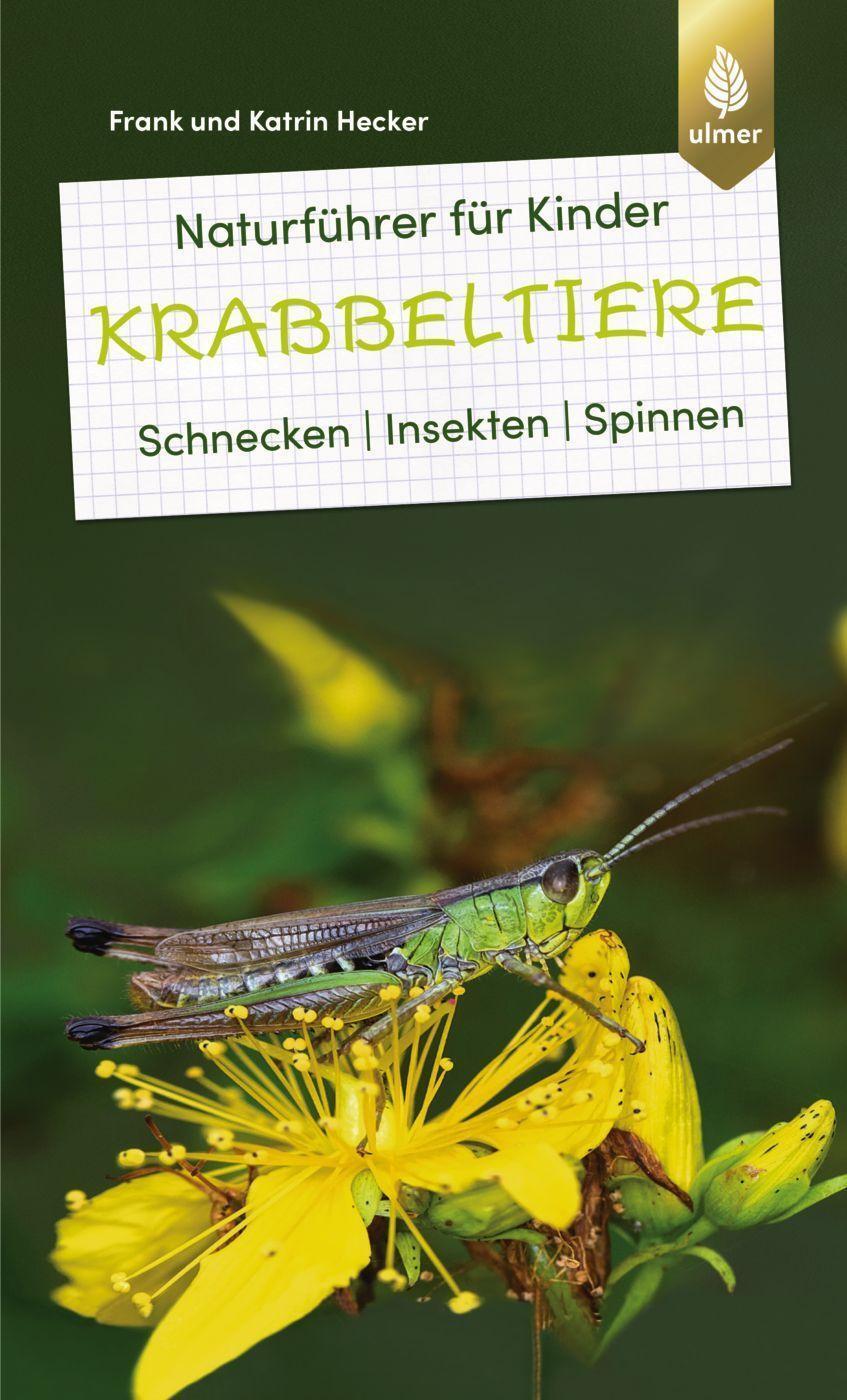 Cover: 9783818616090 | Naturführer für Kinder: Krabbeltiere | Schnecken, Insekten, Spinnen
