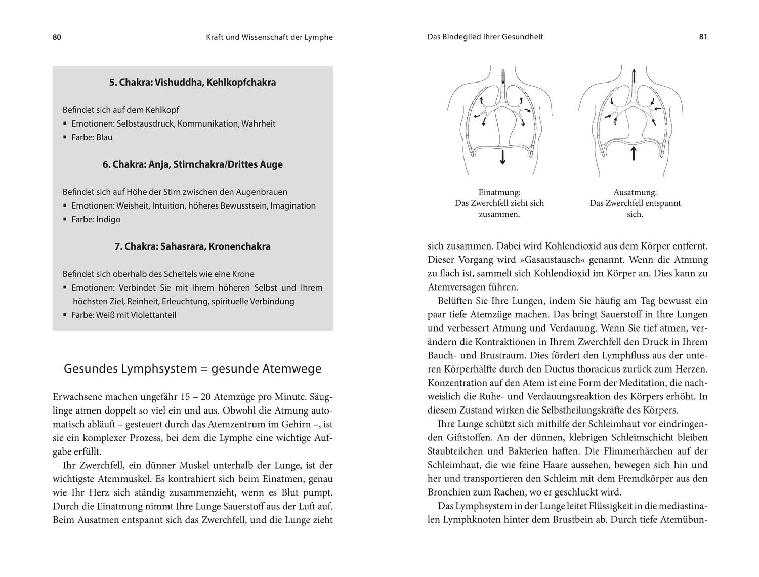 Bild: 9783778793077 | Die heilende Kraft der Lymphe | Lisa Levitt Gainsley | Buch | 368 S.