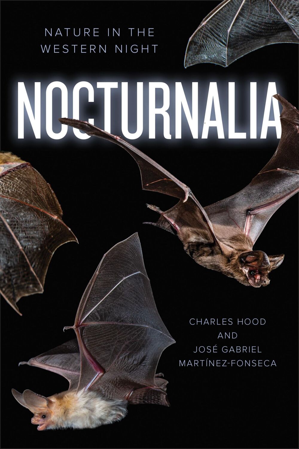 Cover: 9781597146241 | Nocturnalia | Nature after Dark in the Wild West | Hood (u. a.) | Buch