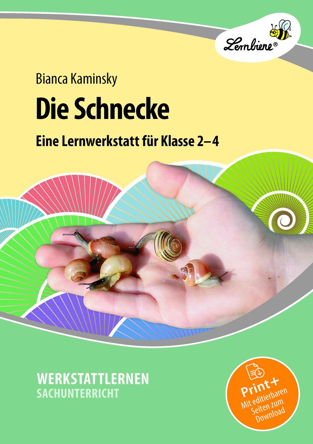 Cover: 9783869986654 | Die Schnecke | (2. bis 4. Klasse) | Bianca Kaminsky | Taschenbuch