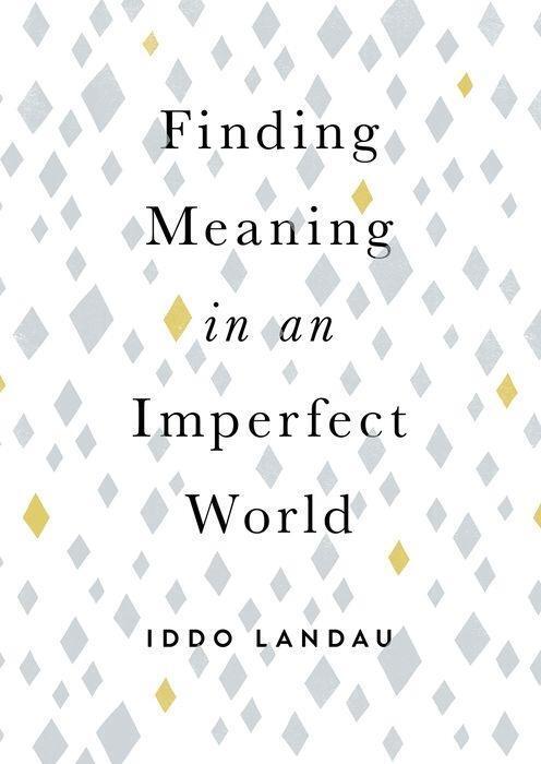 Cover: 9780190092221 | Finding Meaning in an Imperfect World | Iddo Landau | Taschenbuch