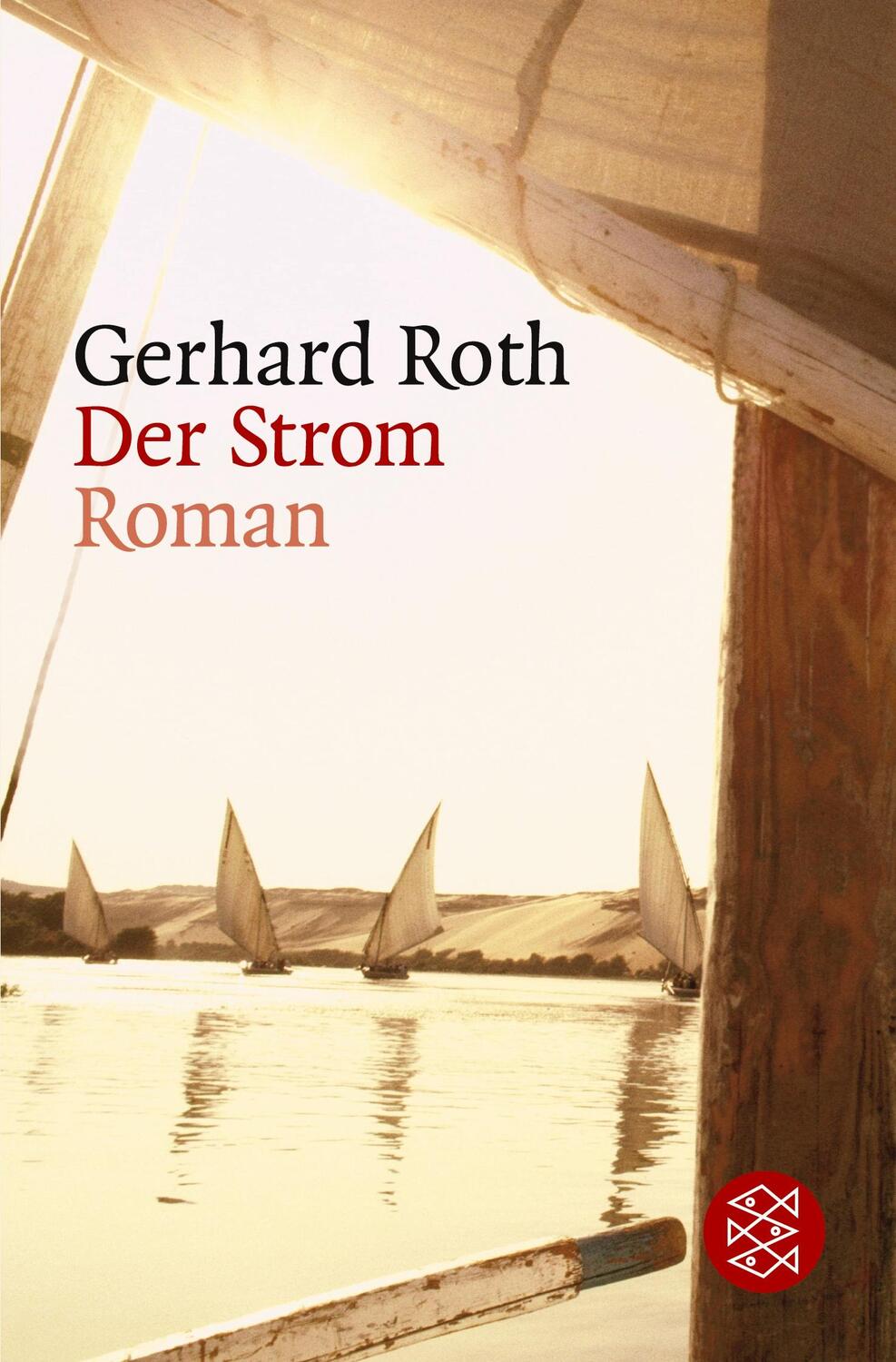 Cover: 9783596162130 | Der Strom | Roman | Gerhard Roth | Taschenbuch | Paperback | 352 S.