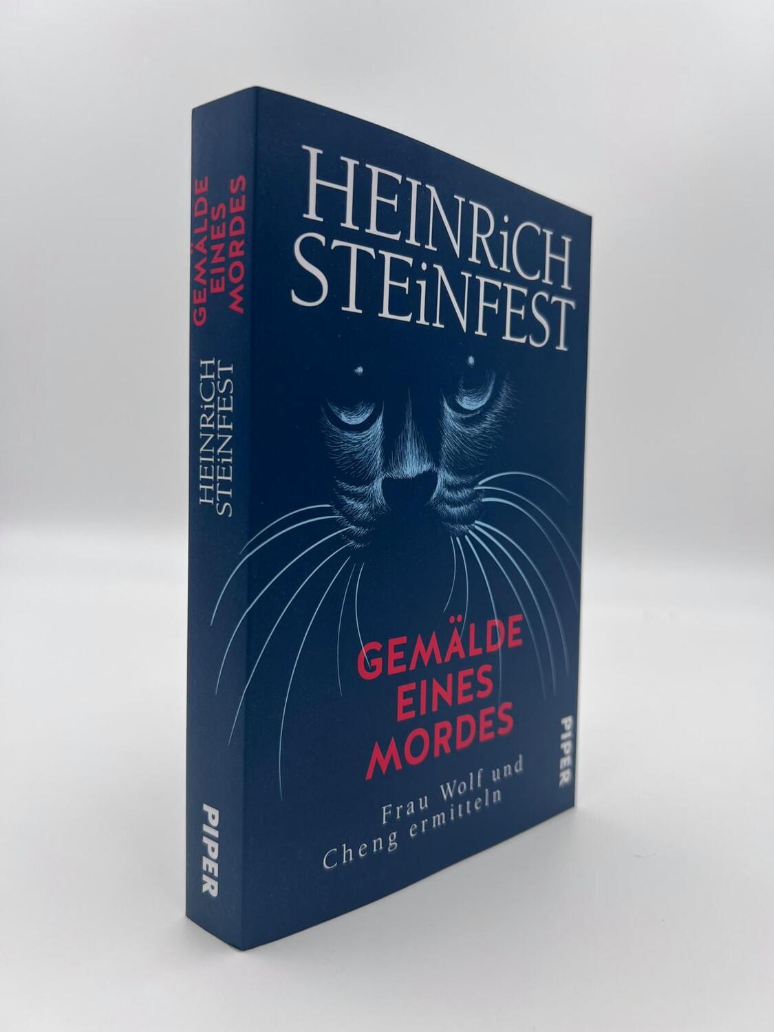 Bild: 9783492064422 | Gemälde eines Mordes | Heinrich Steinfest | Taschenbuch | Markus Cheng