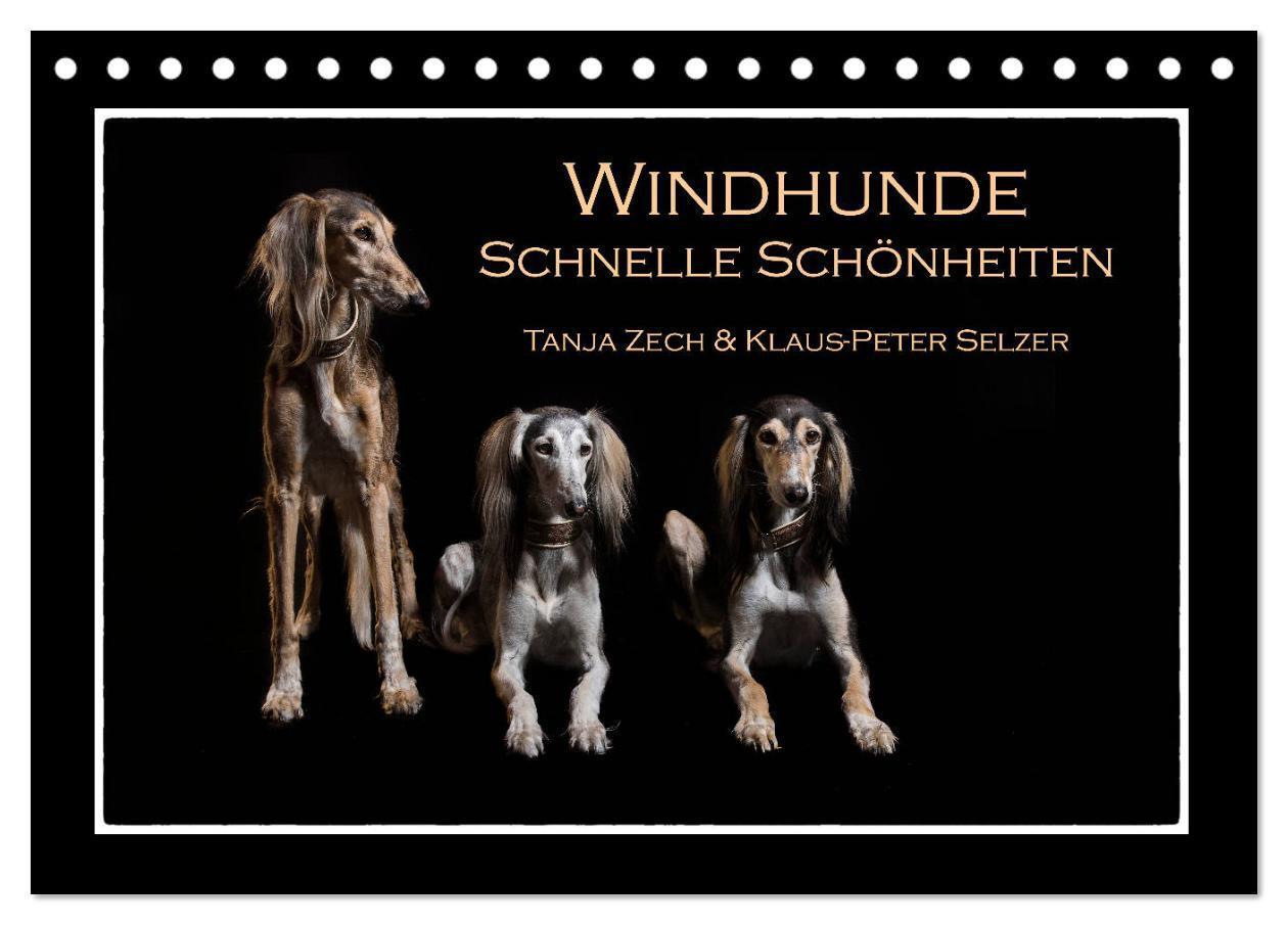 Cover: 9783675958968 | Windhunde - Schnelle Schönheiten (Tischkalender 2024 DIN A5 quer),...