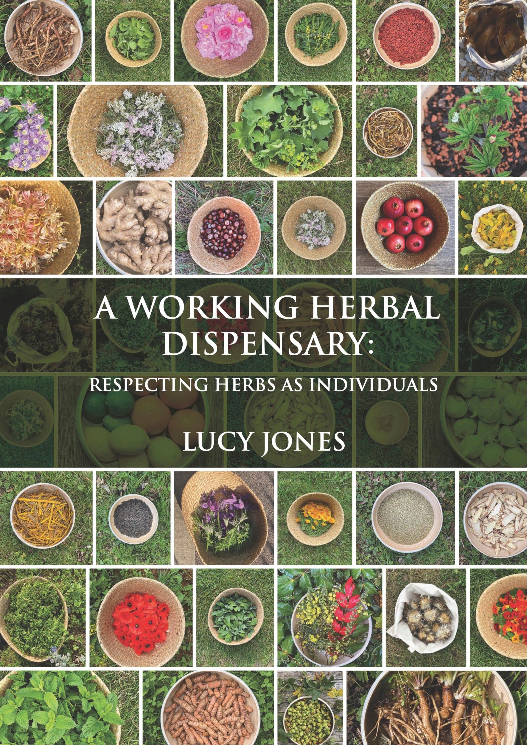 Cover: 9781801520423 | A Working Herbal Dispensary | Respecting Herbs as Individuals | Jones