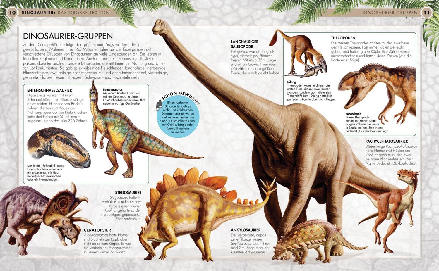 Bild: 9783551252180 | Dinosaurier - Das große Lexikon | Michael K. Brett-Surman | Buch