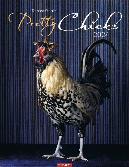 Cover: 9783840085468 | Pretty Chicks. Tier-Wandkalender 2024. Ungewöhnliches...