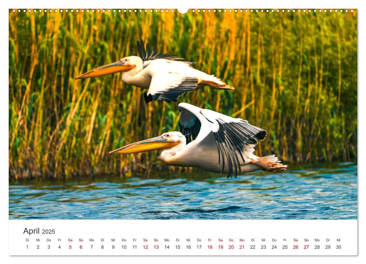 Bild: 9783383984235 | Rumänien - Das beeindruckende Land am Schwarzen Meer. (Wandkalender...