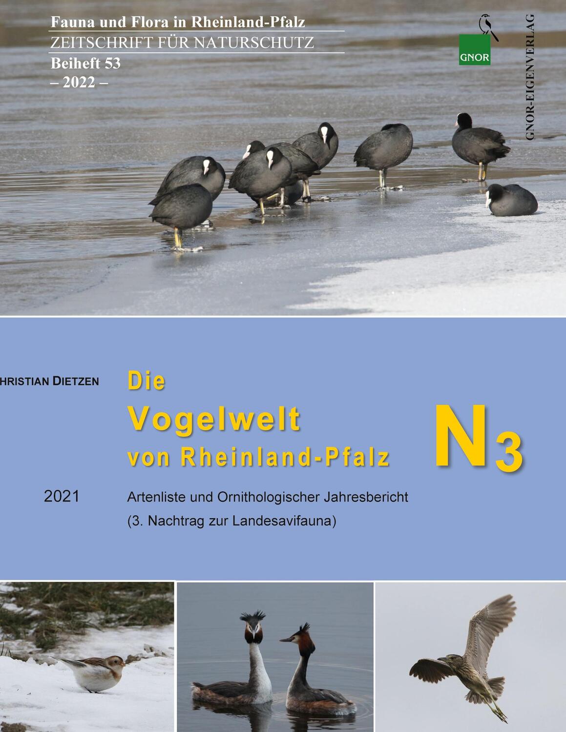 Cover: 9783946121060 | Die Vogelwelt von Rheinland-Pfalz N3 | Christian Dietzen | Buch | 2022