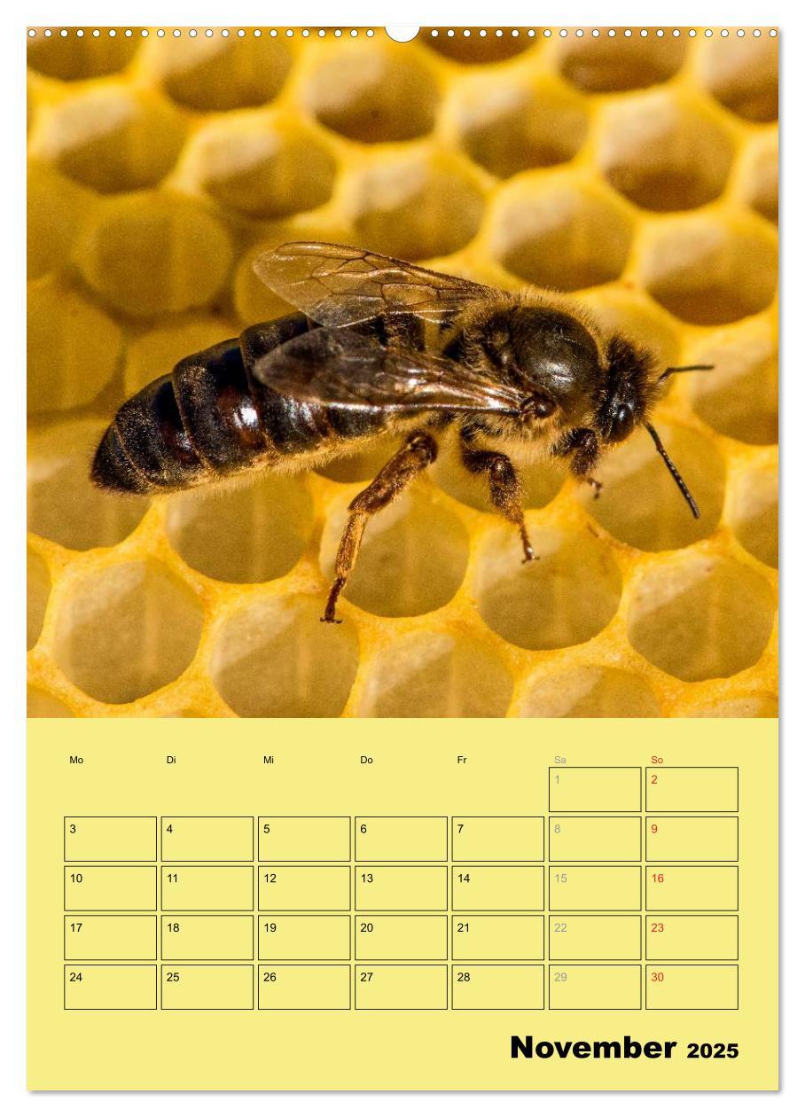 Bild: 9783457051443 | Bienenplaner (Wandkalender 2025 DIN A2 hoch), CALVENDO Monatskalender