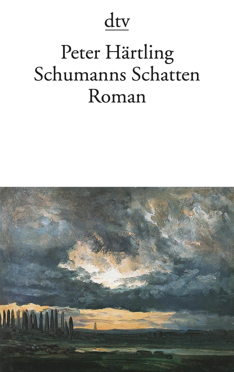 Cover: 9783423125819 | Schumanns Schatten | Variationen über mehrere Personen | Härtling