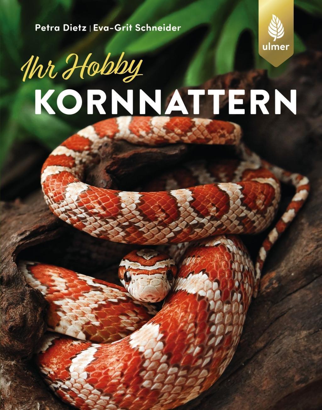 Cover: 9783818600563 | Kornnattern | Petra Dietz (u. a.) | Taschenbuch | Deutsch | 2019