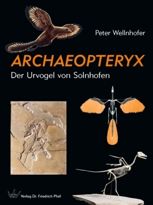 Cover: 9783899370768 | Archaeopteryx | Der Urvogel von Solnhofen | Peter Wellnhofer | Buch