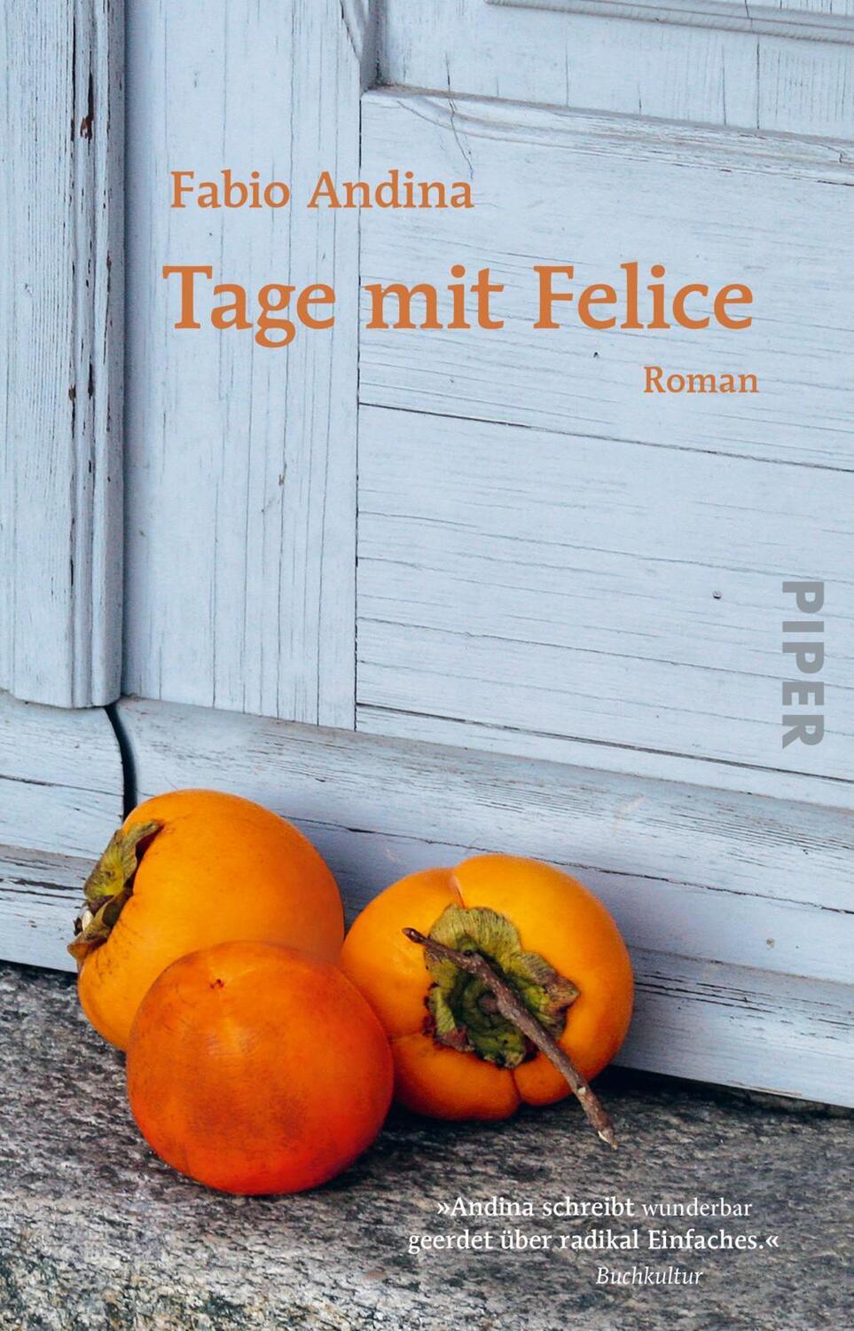 Cover: 9783492317597 | Tage mit Felice | Fabio Andina | Taschenbuch | 240 S. | Deutsch | 2022