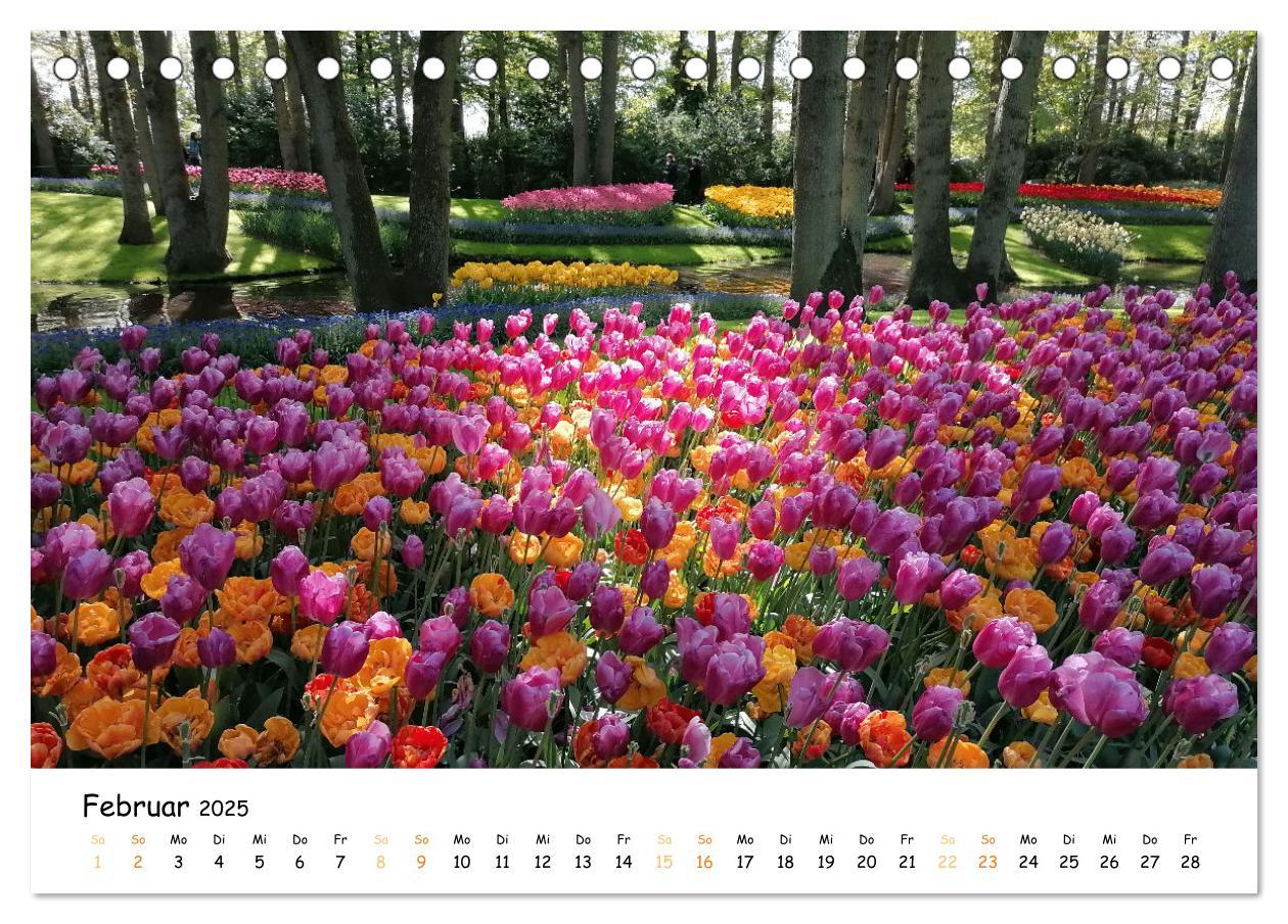 Bild: 9783383923623 | Auf Tour im Land der Tulpen (Tischkalender 2025 DIN A5 quer),...