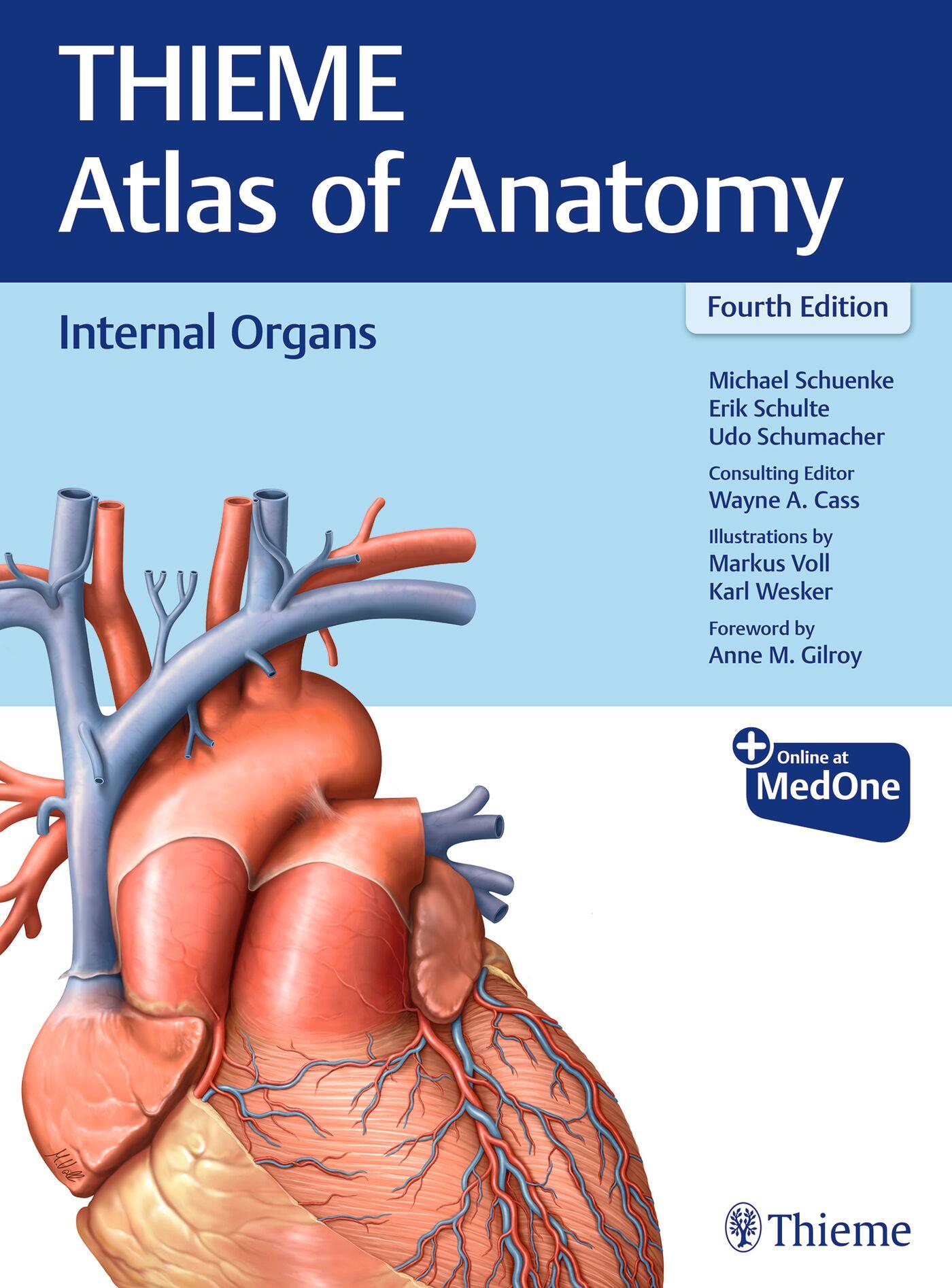 Cover: 9781684205912 | Internal Organs (THIEME Atlas of Anatomy) | Michael Schuenke (u. a.)