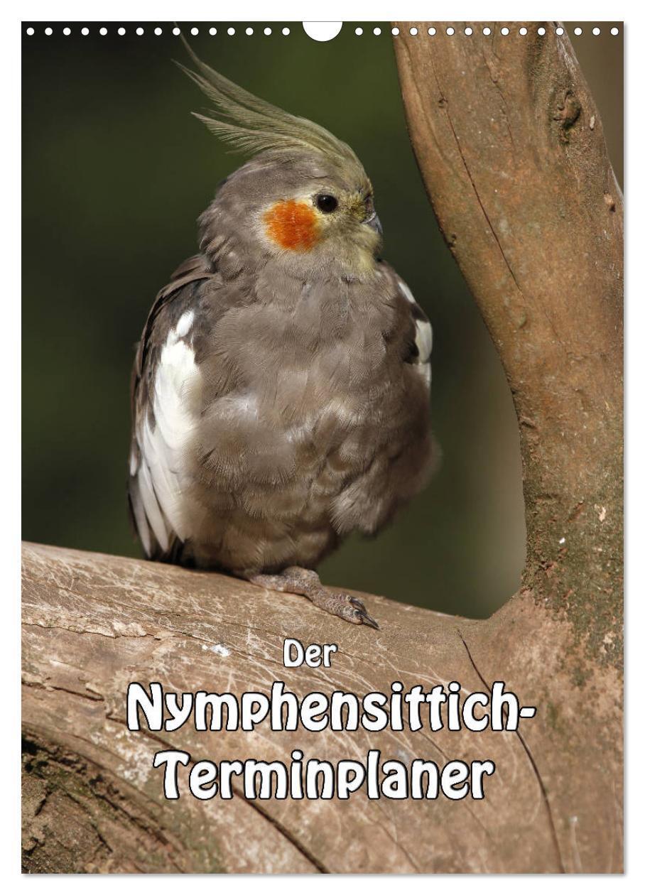 Cover: 9783383240645 | Der Nymphensittich-Terminplaner (Wandkalender 2024 DIN A3 hoch),...