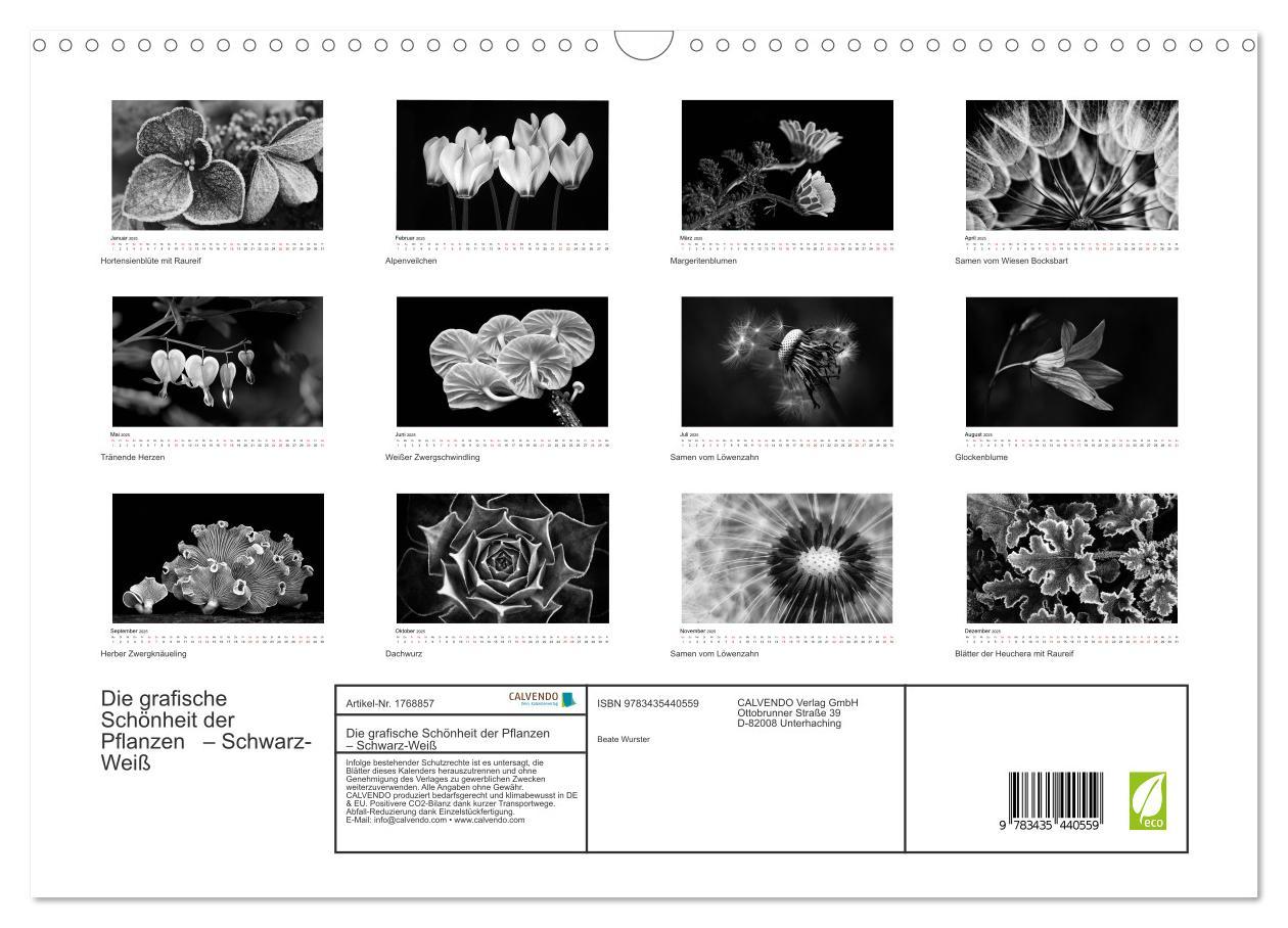 Bild: 9783435440559 | Die grafische Schönheit der Pflanzen ¿ Schwarz-Weiß (Wandkalender...