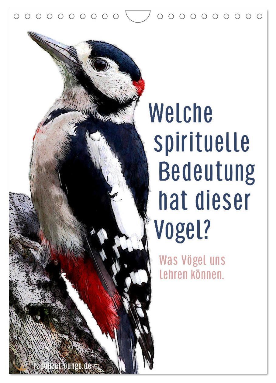 Cover: 9783457137437 | Welche spirituelle Bedeutung hat dieser Vogel? (Wandkalender 2025...