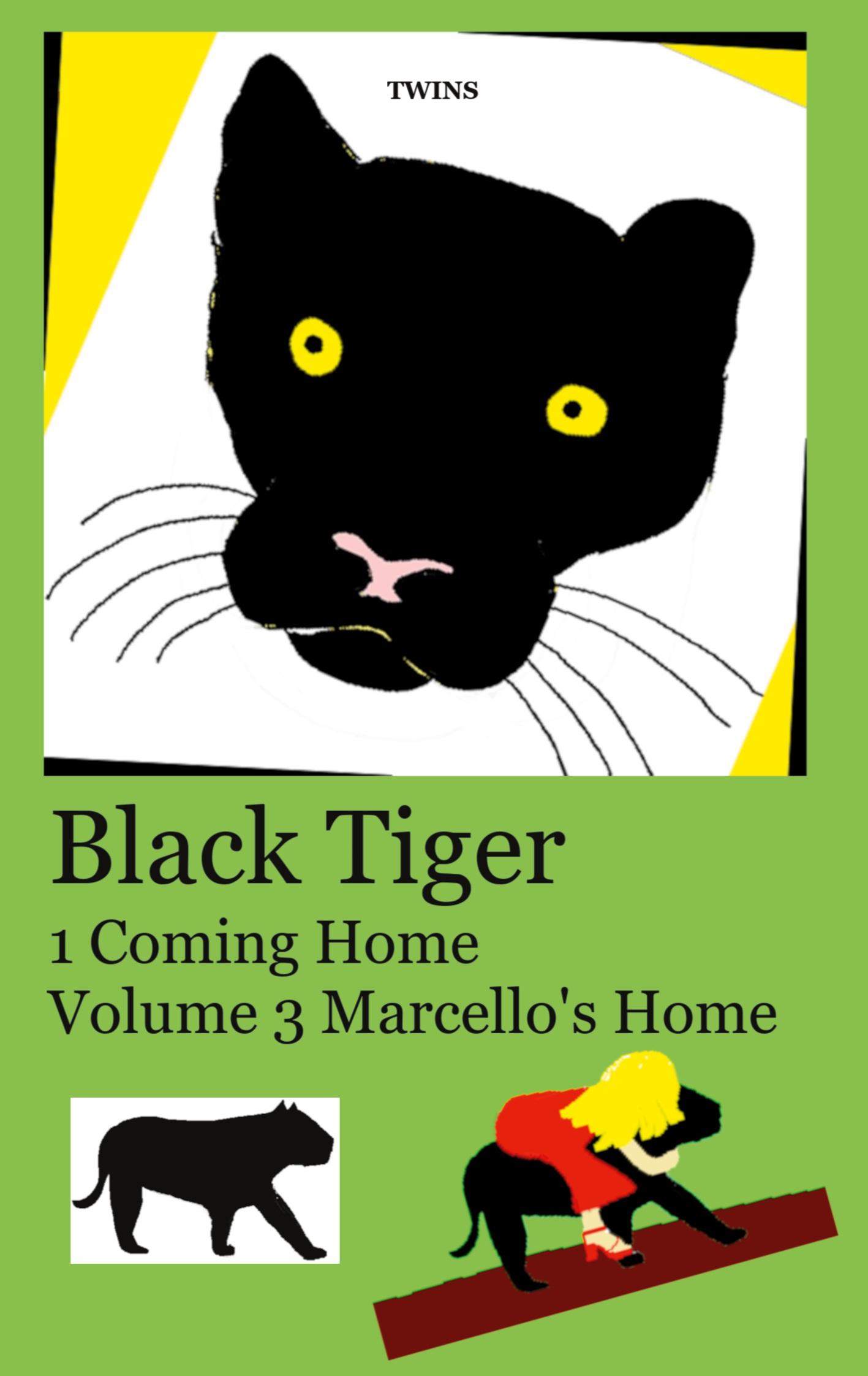 Cover: 9783759787705 | Black Tiger 1 Coming Home | Volume 3 Marcello's Home | .. Twins | Buch